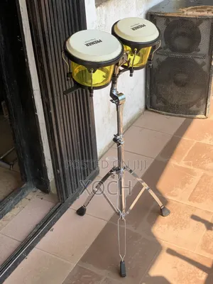 Bongo Drum