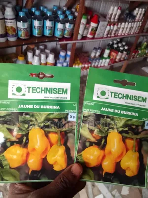 Hybrid Seeds Are Available
