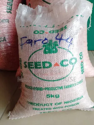 Grains Seeds for Sale