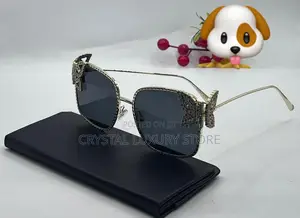 Dior Quality Luxury Ladies Sunglasses