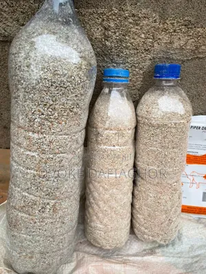 Bird Feed and Drugs