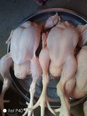 Soft Chicken