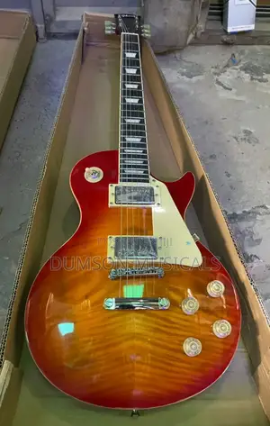 Gibson Professional Guitar 