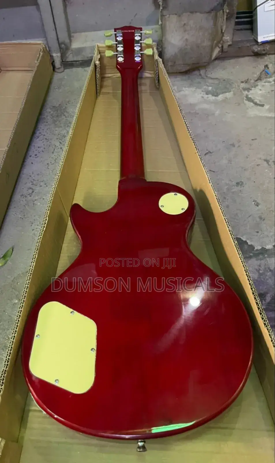 Gibson Professional Guitar 