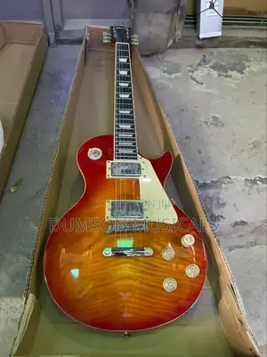 Gibson Professional Guitar 