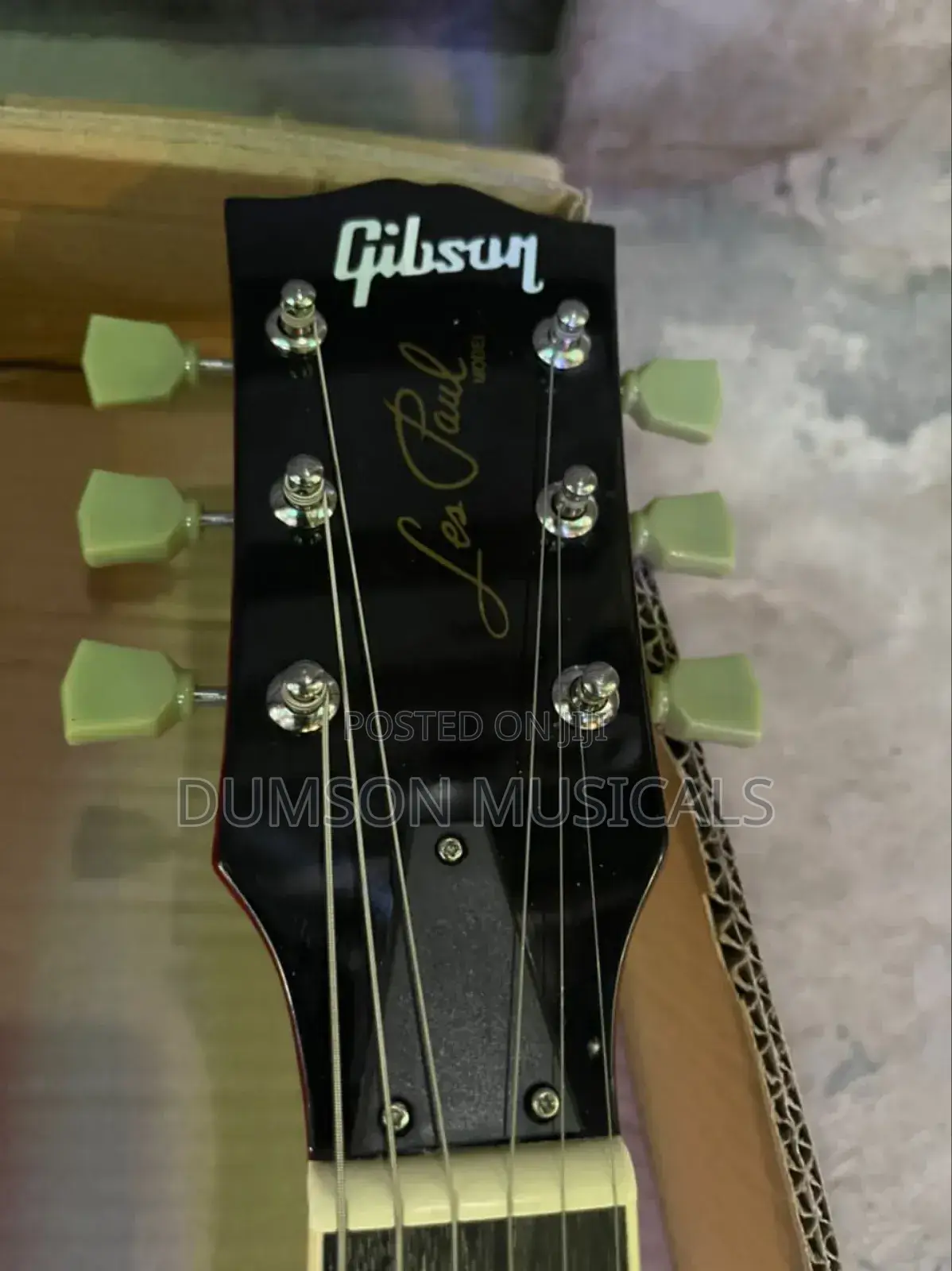 Gibson Professional Guitar 