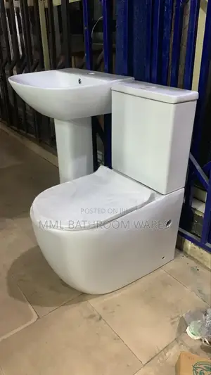 Executive Toilet Seat Wc and Basin