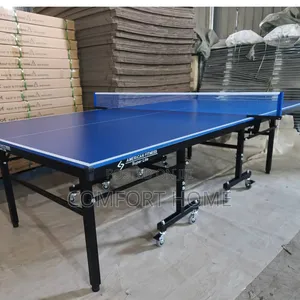 Water Proof Outdoor Table Tennis Board With Bats and 3 Egg