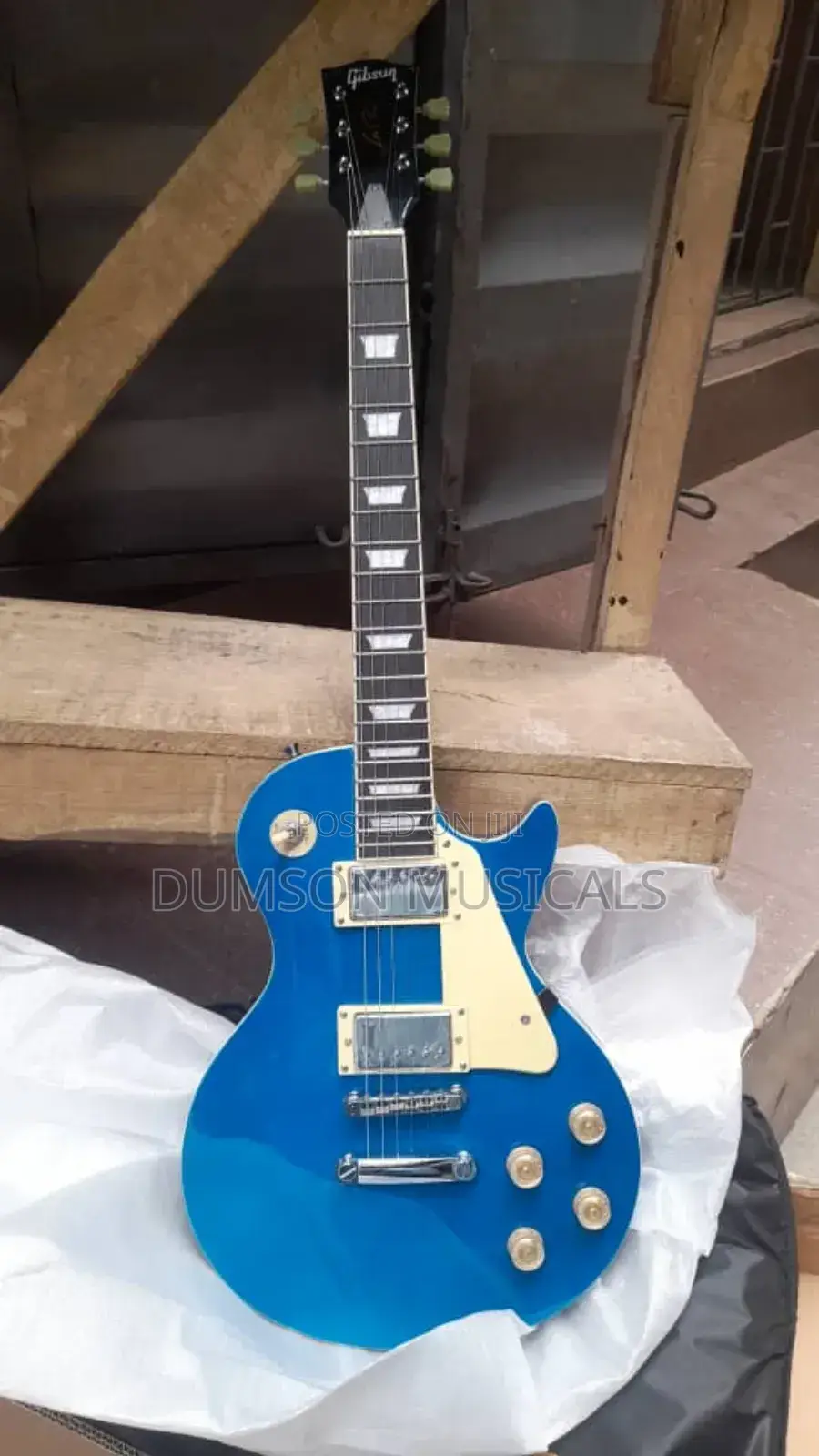 Professional Gibson Guitar 