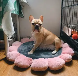Indoor Dog Bed for Small Dog and Cats