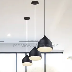Single Drop Light