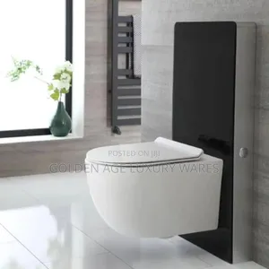 Surface Glass Tank Wall Hung Toilet (Wc)