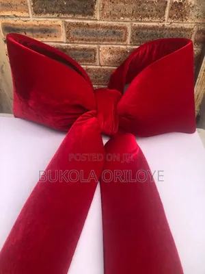 Over Size Bow for Rent.