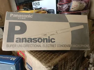 Panasonic Microphone