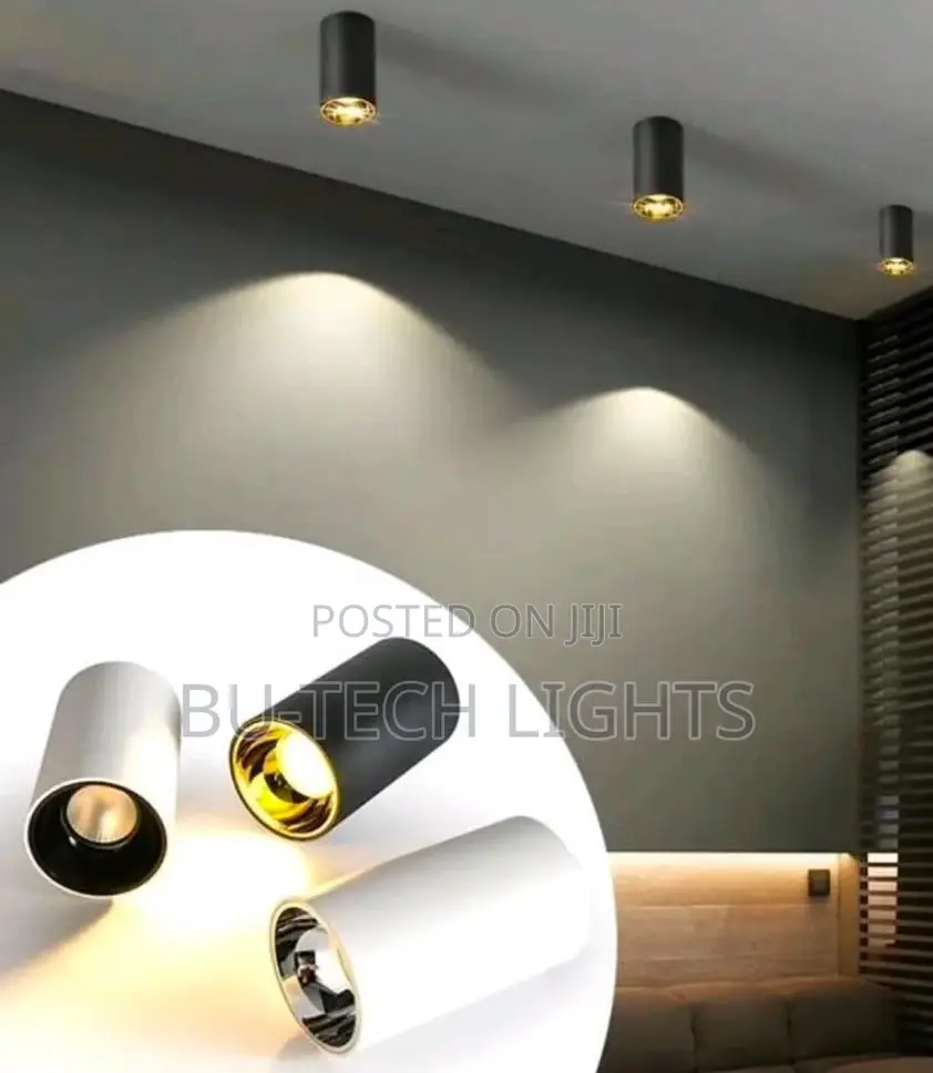 Modern Ceiling Lights