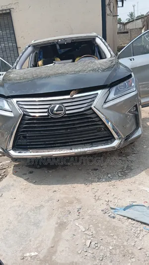 Rx2018 Windscreen LFW