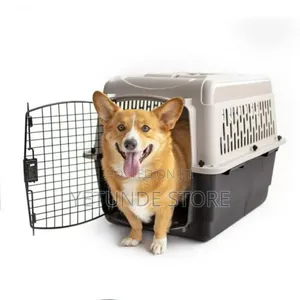 Travel Dog Create