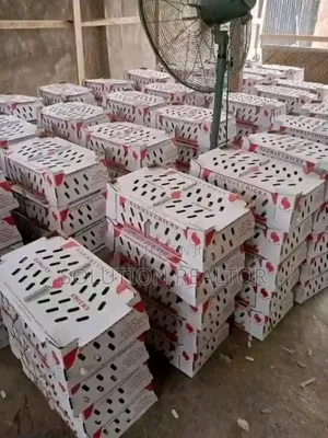 Broilers Noiler Turkey Etc