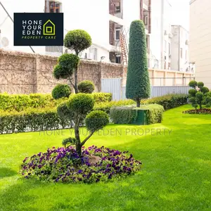 Professional Landscape Design Installation