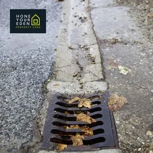 Reliable Gutter Cleaning Services