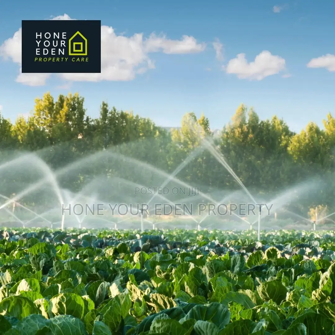 Efficient Irrigation System Installation