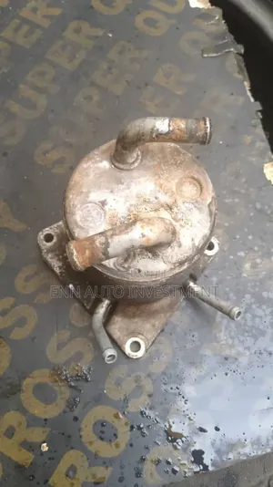 Nissan Rogue/Quashqai Gear Coolant