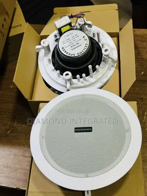 Shinewave 30 Watts Pop/Ceiling Speaker