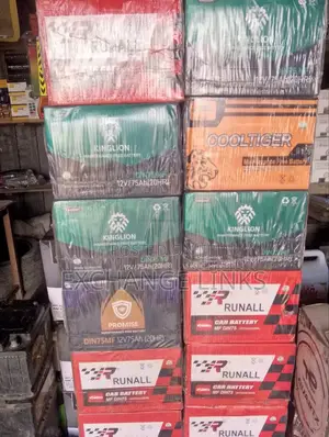 Genuine Car Battery