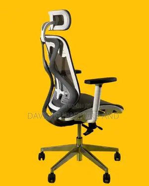 Ergonomic Office Chair for Extra Comfort