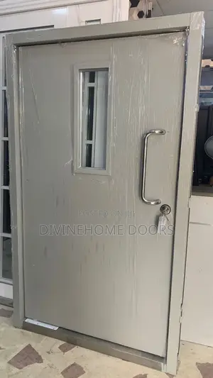 Laboratory and Hospital Door