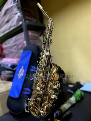 Henry Selmer’S Paris Alto Saxophone Gold