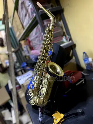 Henry Selmer Paris Bronze Alto Saxophone