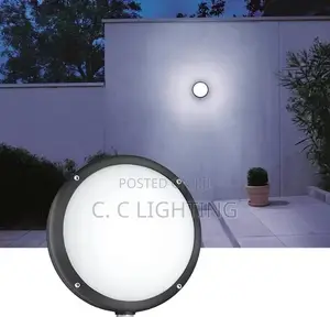 Outdoor Waterproof Ceiling Light Wall Light Modern