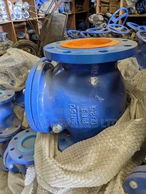 DN150 Non Return Valve
