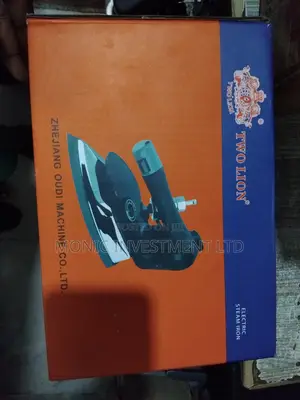 2 Lion Electric Steam Iron
