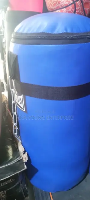 Medium Everlast Punching Bag