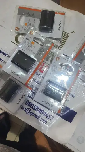Sony NP-FZ100 Battery for Camera