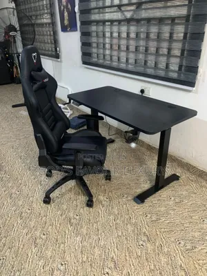 Electric Adjustable Height Desk.