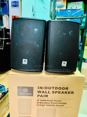 Lucky Tone Wall Speaker
