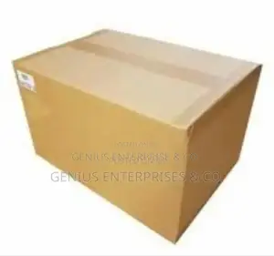 Heavy Items Moving Cartons Into Van