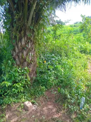 Plots of Land for Sale