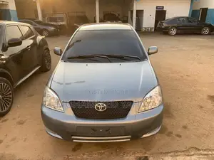 Toyota Corolla 2004 Gray