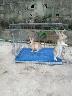 Single Hutch Rabbit / Small Animal Cage