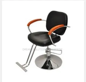 Salon Chair