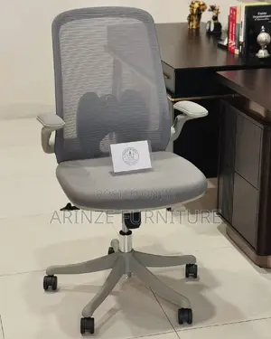 Executive Mesh Chair