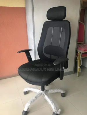 Eco Friendly Executive Chair