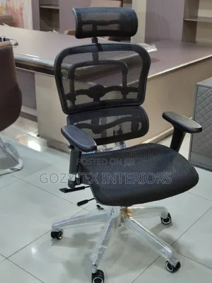 Executive Office Mesh Egunomic Chair