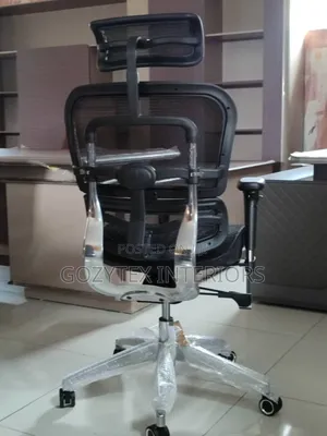 Executive Office Mesh Egunomic Chair