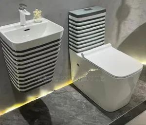 White And Black Wc
