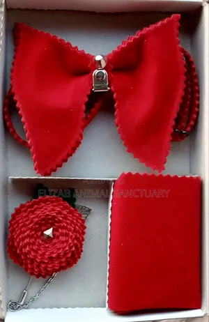 3 in 1 Fashion Suede Bow Tie.